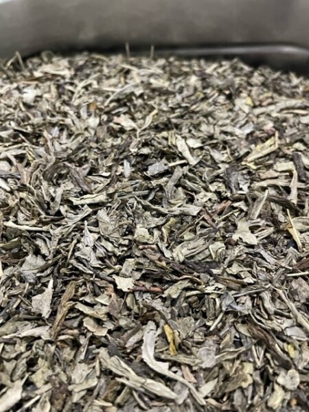 Decaf China Sencha 100g